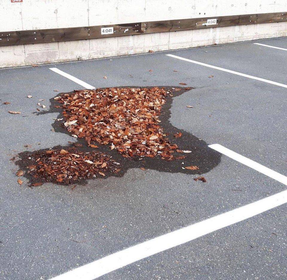 fall leaves in puddle