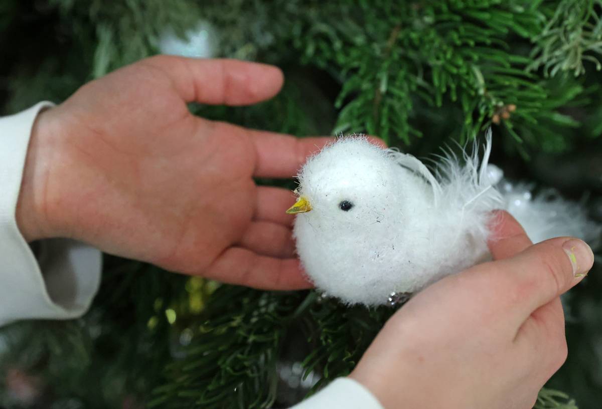 Miloserdie Orthodox Charity Organization conducts charity event on Christmas Eve