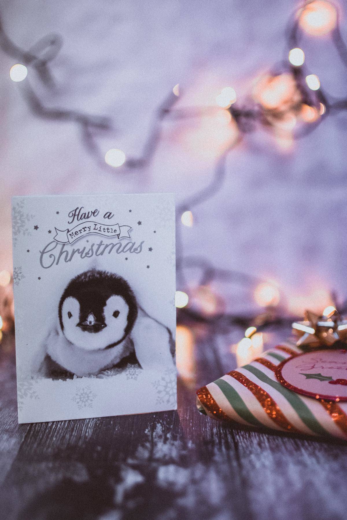 a Christmas card with a penguin on it next to a present 