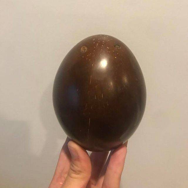 polished coco too smooth