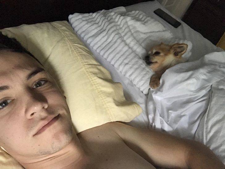 replaced with dog after waking up