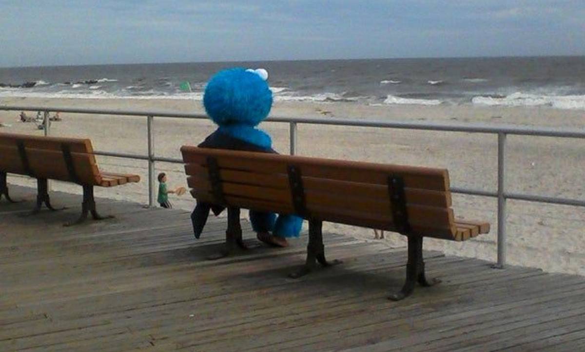 guy dressed as cookie monster sitting on a park bench staring at the waves 