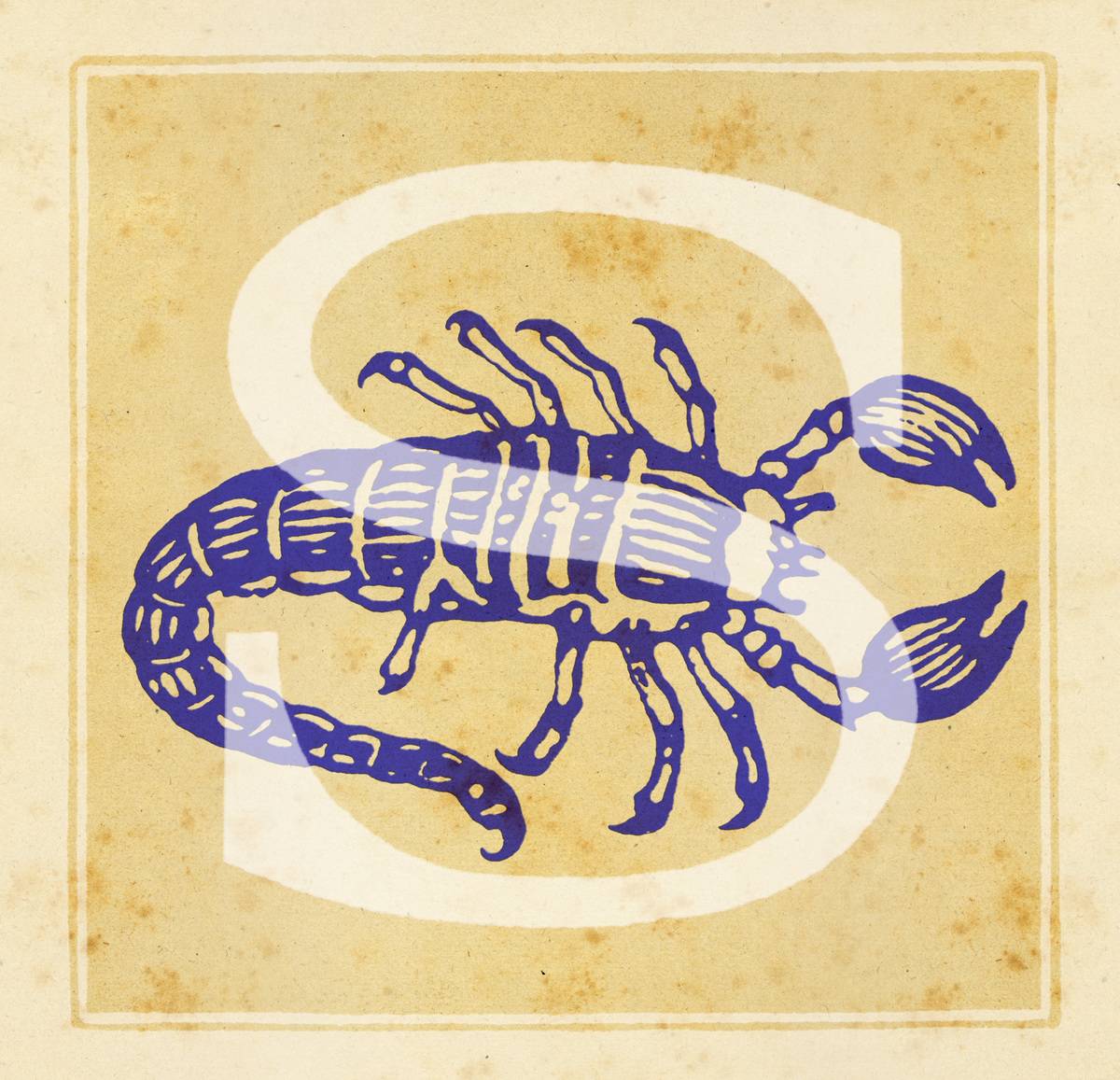 Capital letter S with zodiac sign of Scorpio - a scorpion  