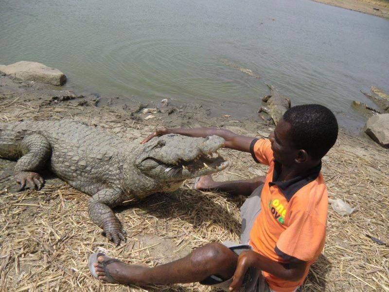 swimming with gators in ghana