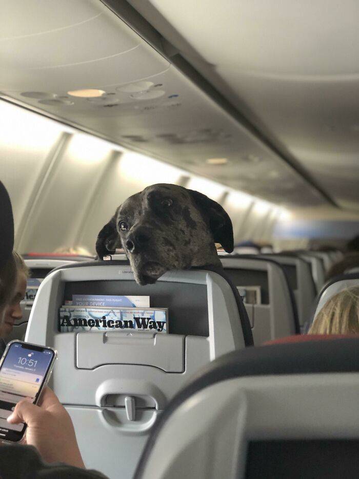 Can You Please Turn Off Your Phone?