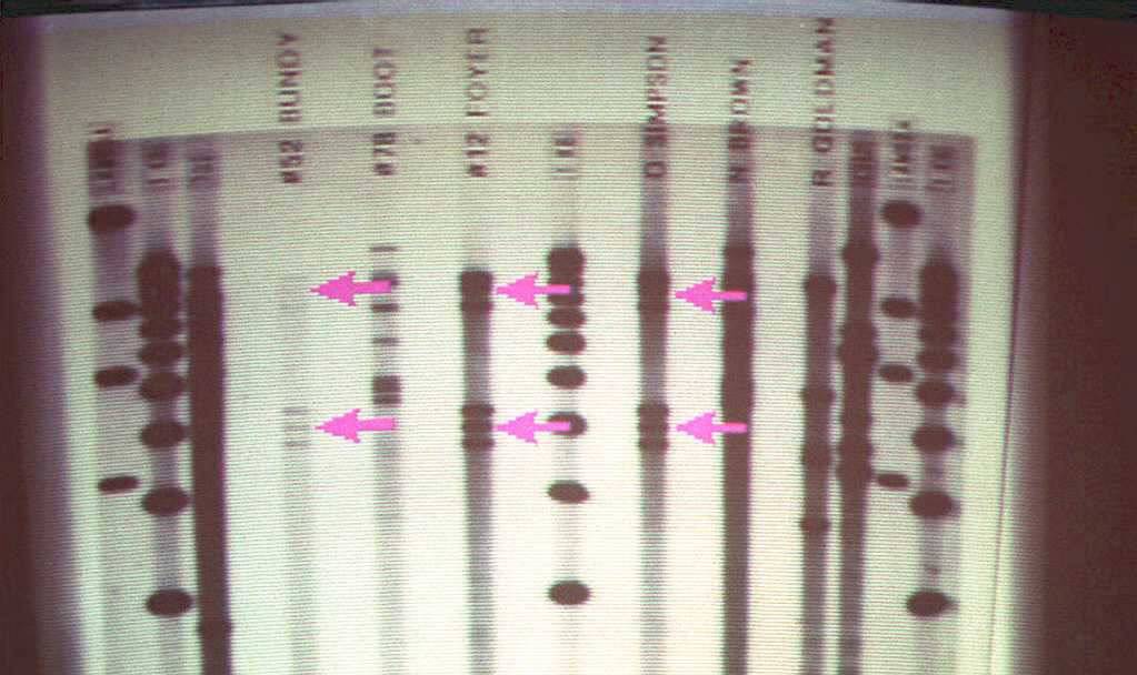 A DNA film projects the codes of a person's DNA.