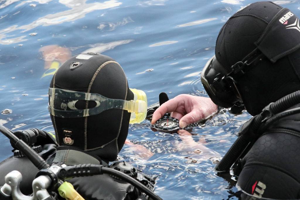 Picture of divers