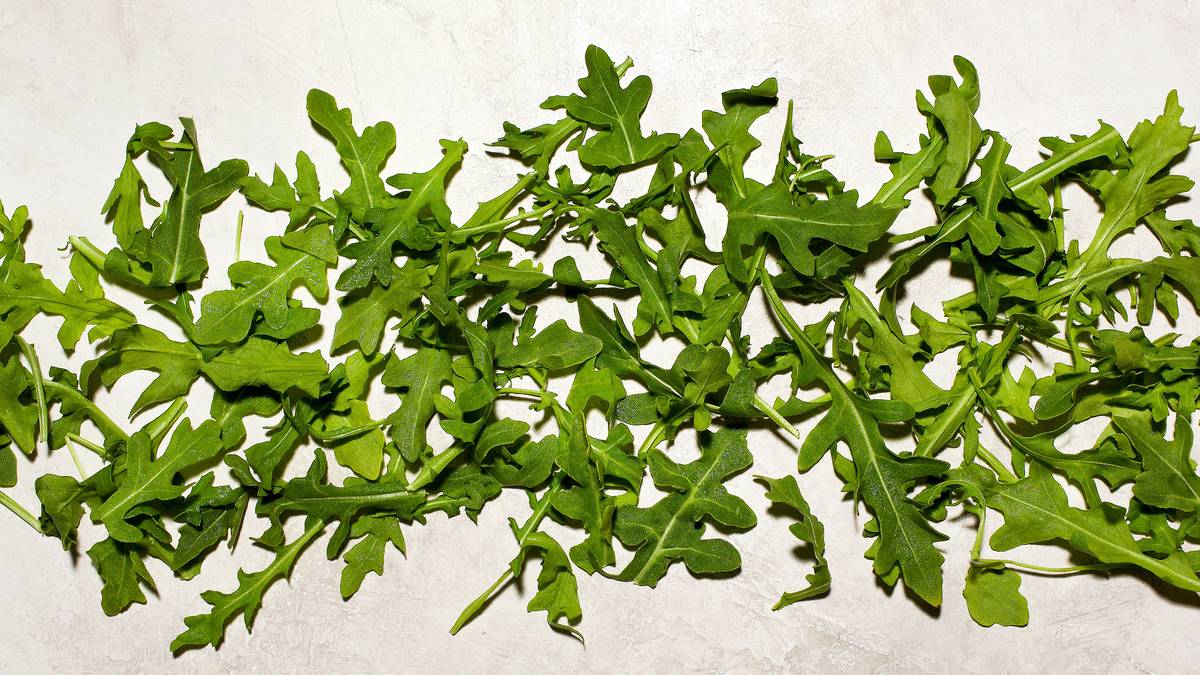 Arugula