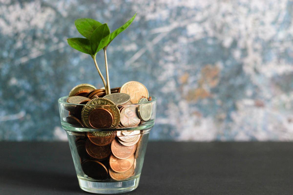 money growing from coins in a vase