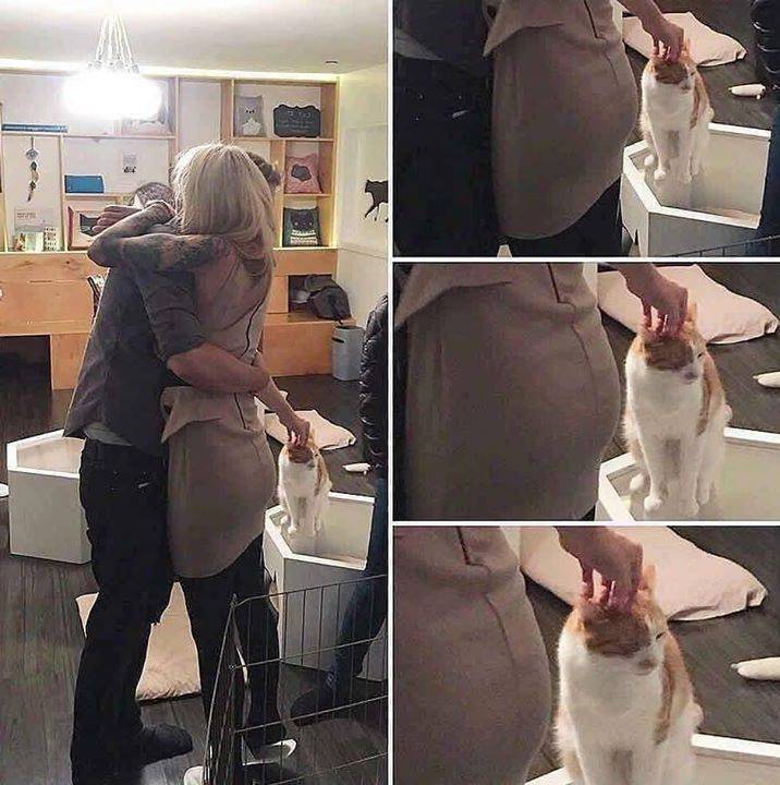 guy petting cat while hugging