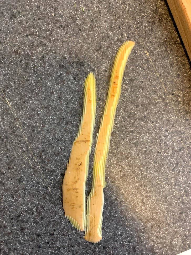 potato peels look pixelated 