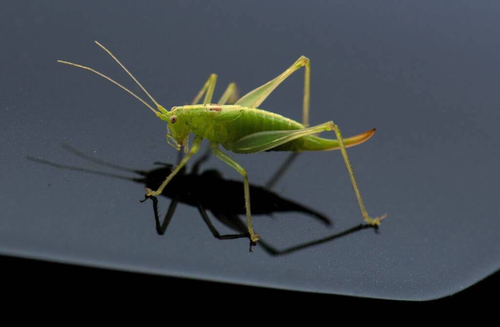 GettyImages-1002354688-12243