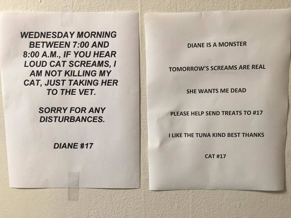 cat screams are real