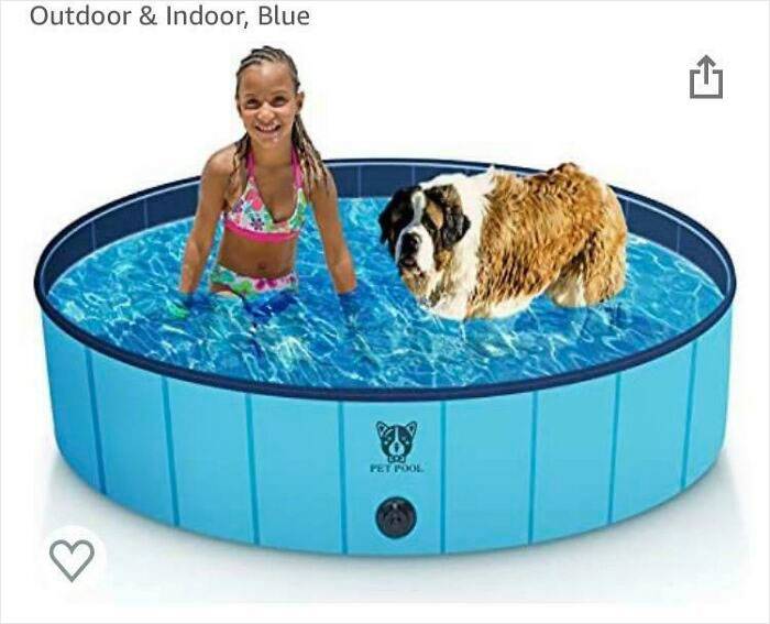 picture of kid and dog in pool; their proportions are wrong