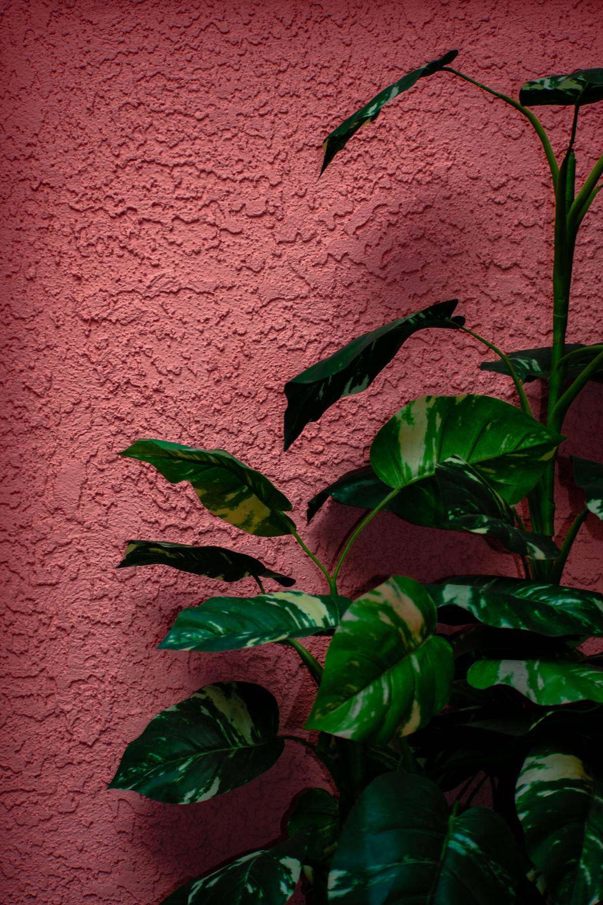 ernest-brillo-Y9Idgte8yZk-unsplash