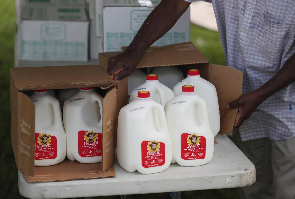 Gallons of milk are prepared to be given out at a drive-thru food distribution site