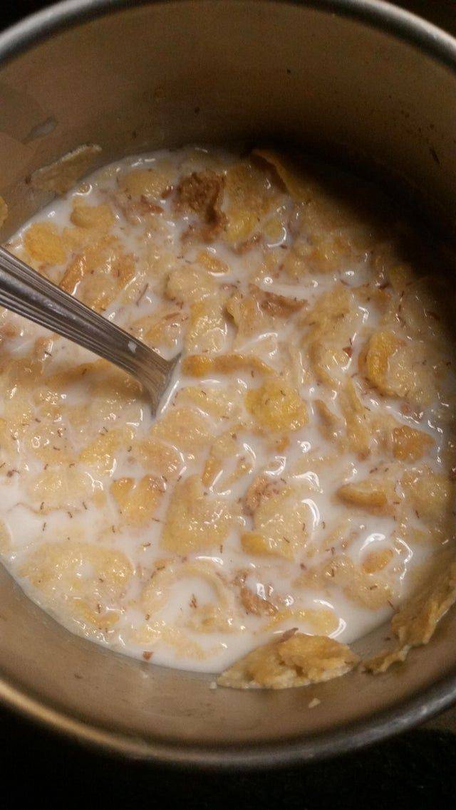 infested home has bugs in cereal