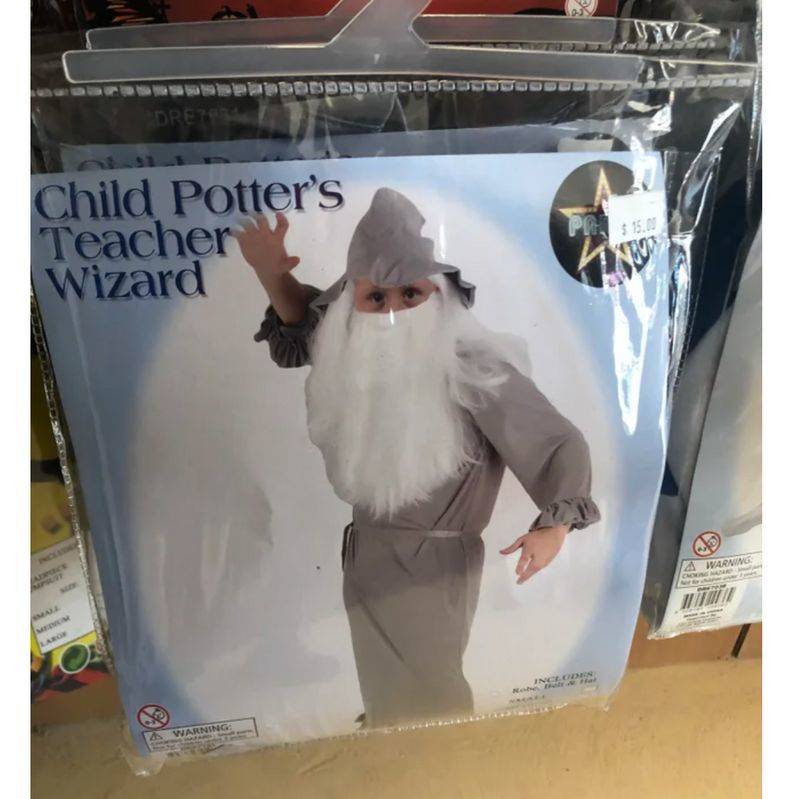 child potter's teacher wizard costume