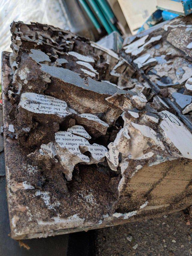 termite mound made out of books
