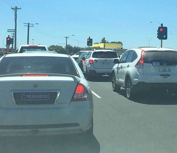 license plates having fun