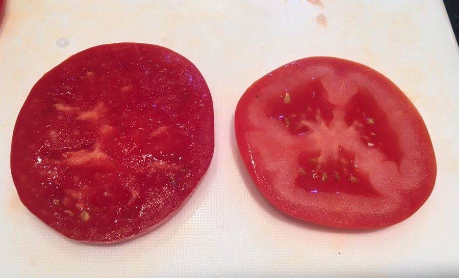 homegrown tomato next to store bought tomato