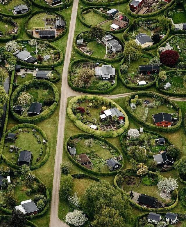 Properties enclosed by circular hedges in Denmark