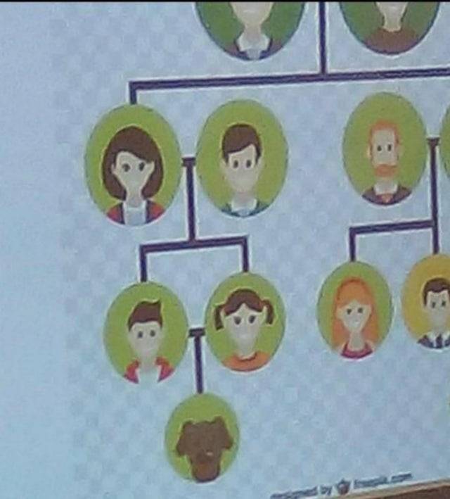 family tree shows kids having dog together like a child