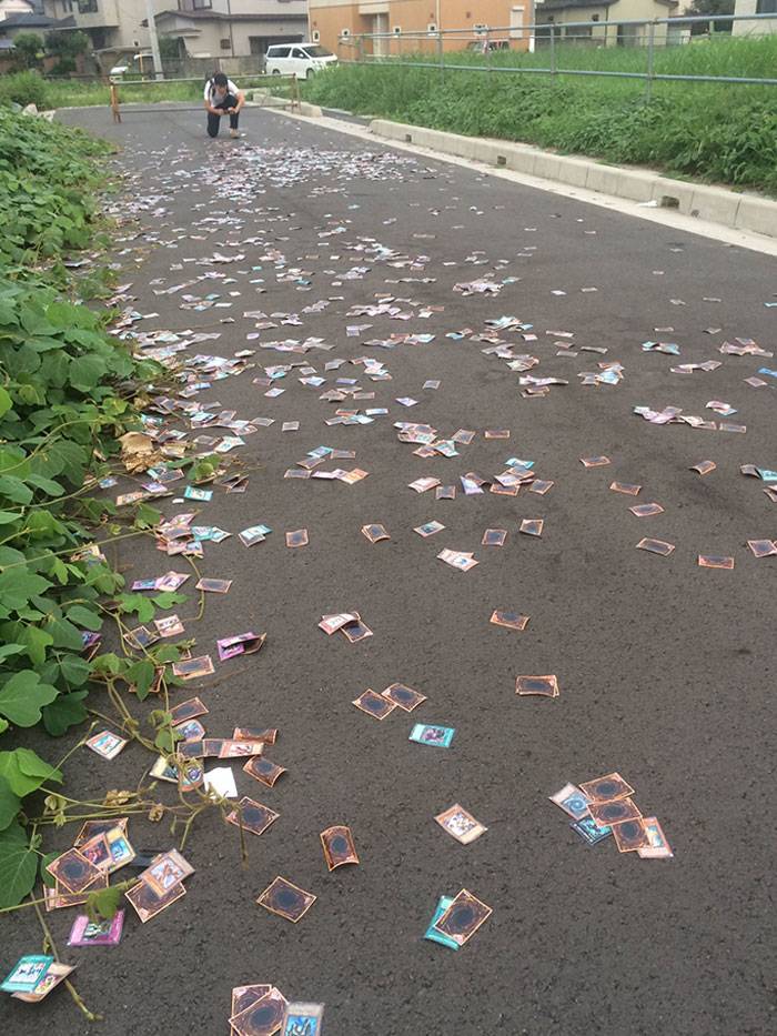 cards flying all over the ground