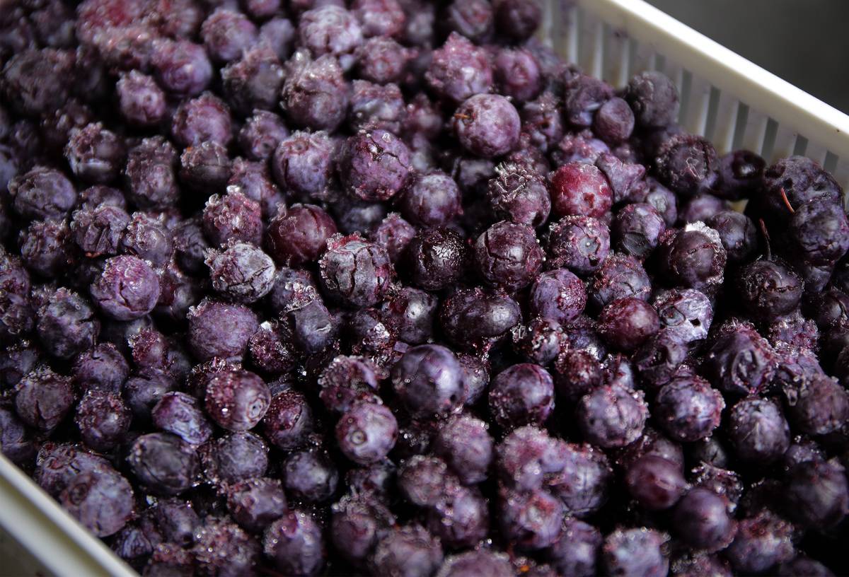 Frozen blueberries are in a white basket.