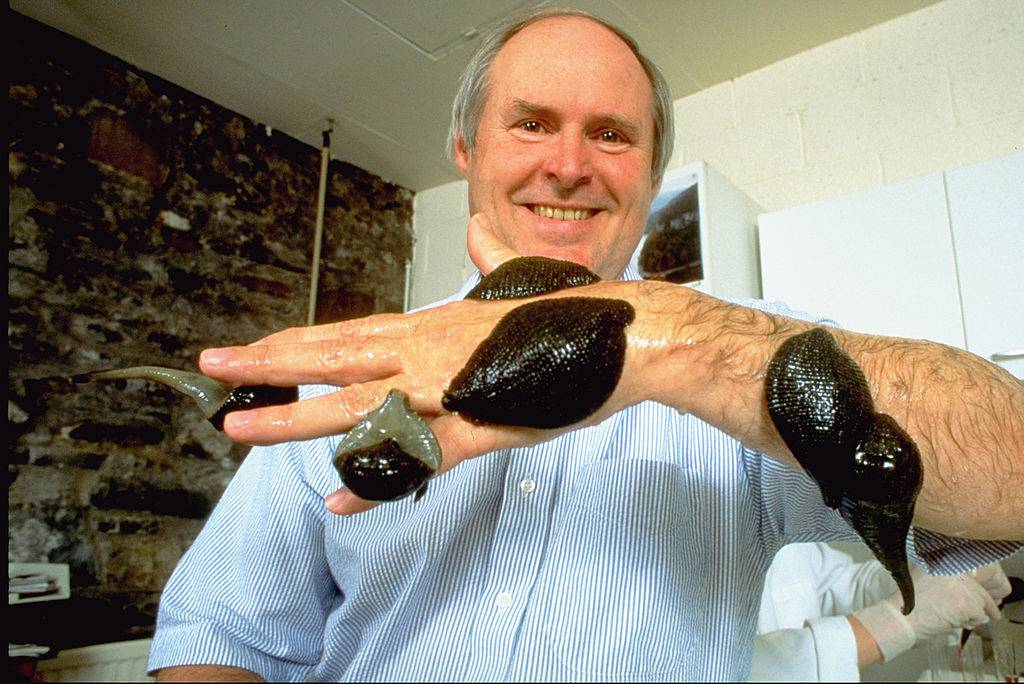 a man with leeches all over his hand and arm