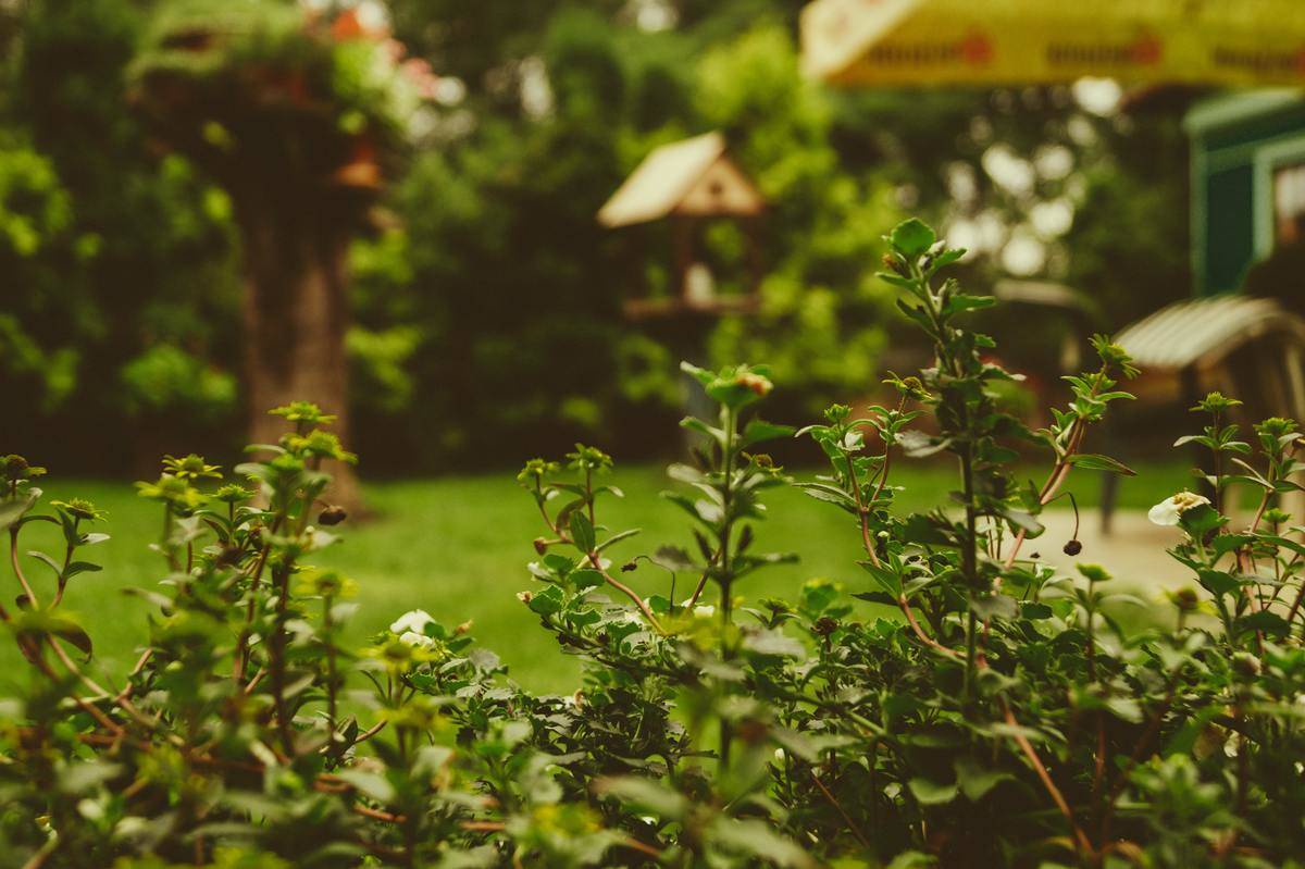 martin-knize-JjT_7MwREm4-unsplash (1)