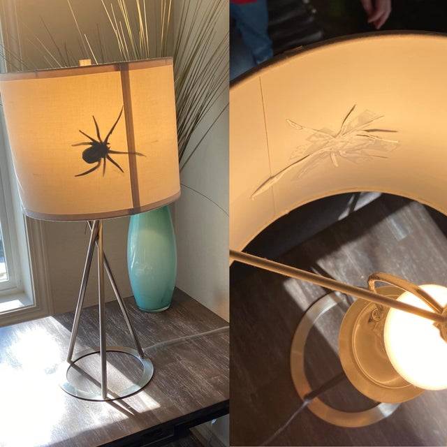 spider shadow in lamp