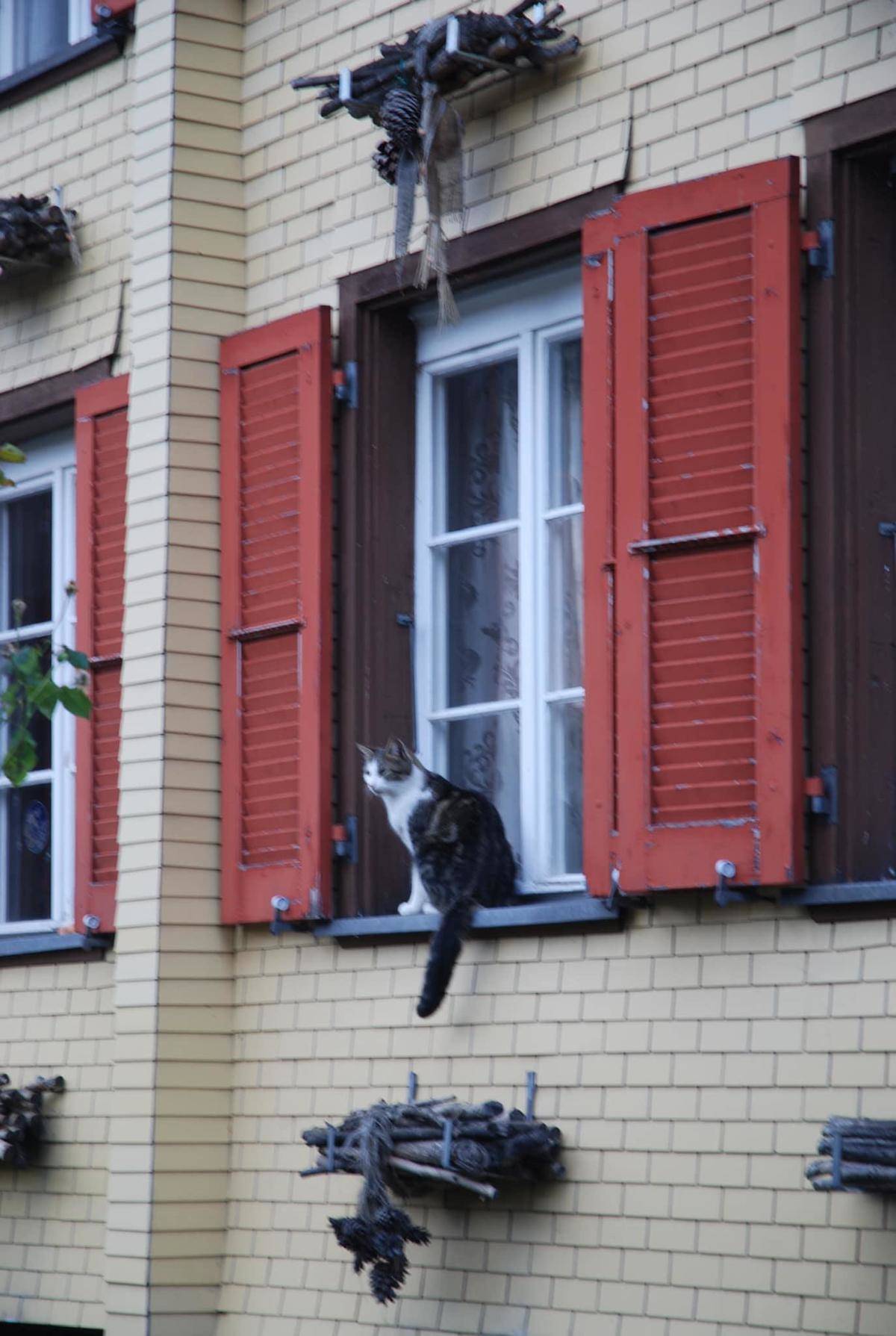 the bundles of wood above and under the window