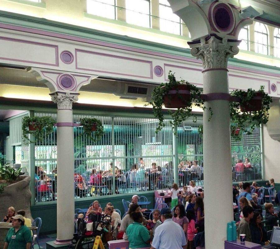 zoo restaurant and cafe