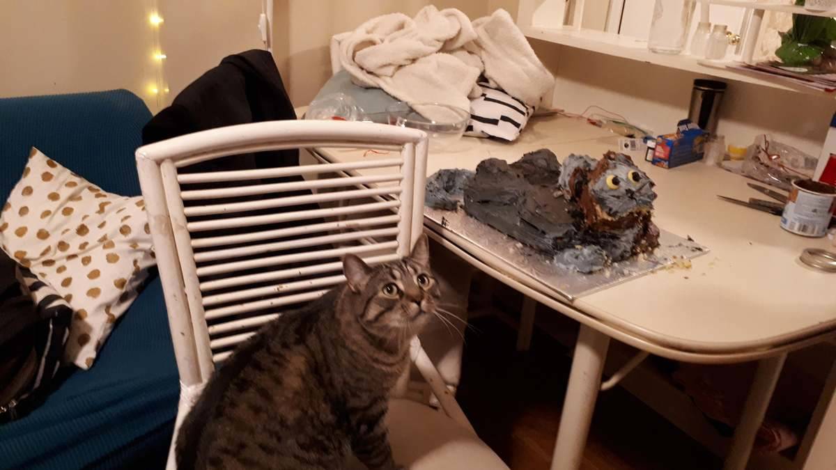 Cat looking at a cake that's supposed to look like him