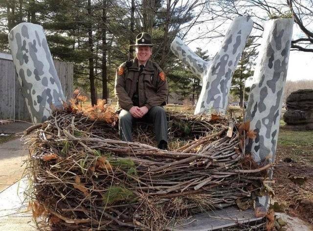 anger sitting in a bald headed eagle's nest
