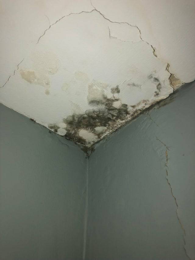 Black mold spreading across ceiling in apartment, cracks in wall 