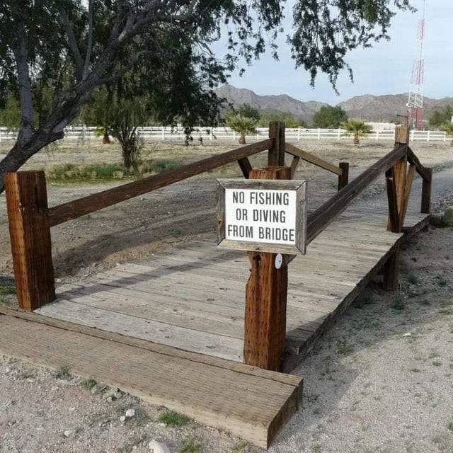 no diving from bridge