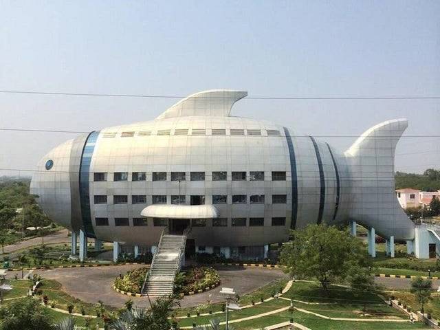 fish shaped building