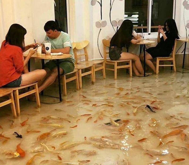 floor made out of koi fish in water