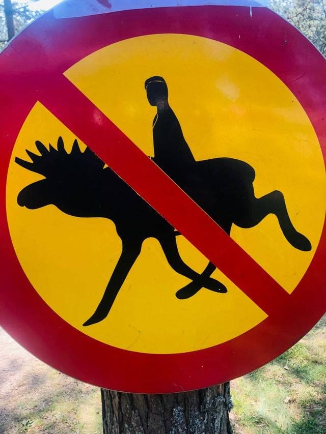 Sign of a person riding a moose with a red line through it to indicate not to do so