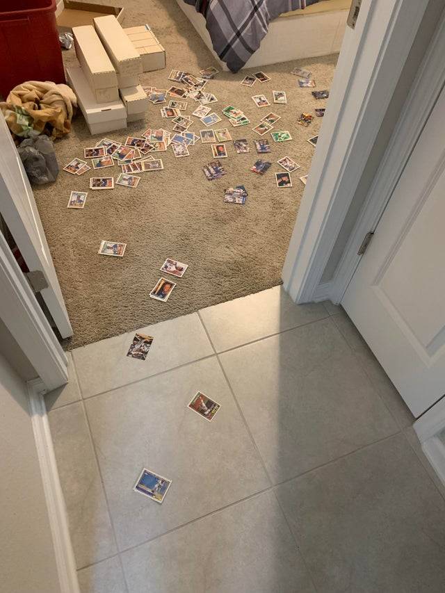 roomba damaging the cards