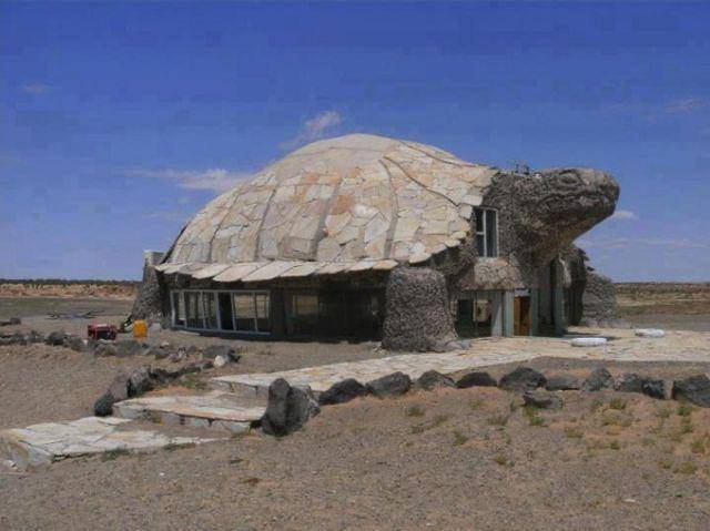 turtle building