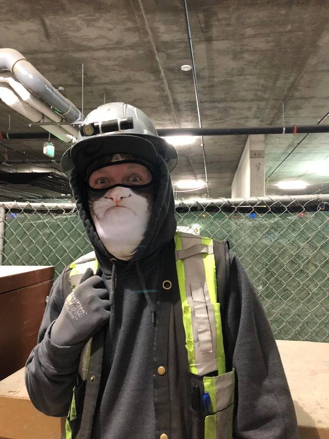 Man shows up to work wearing a face covering that has the face of cat due to the cold