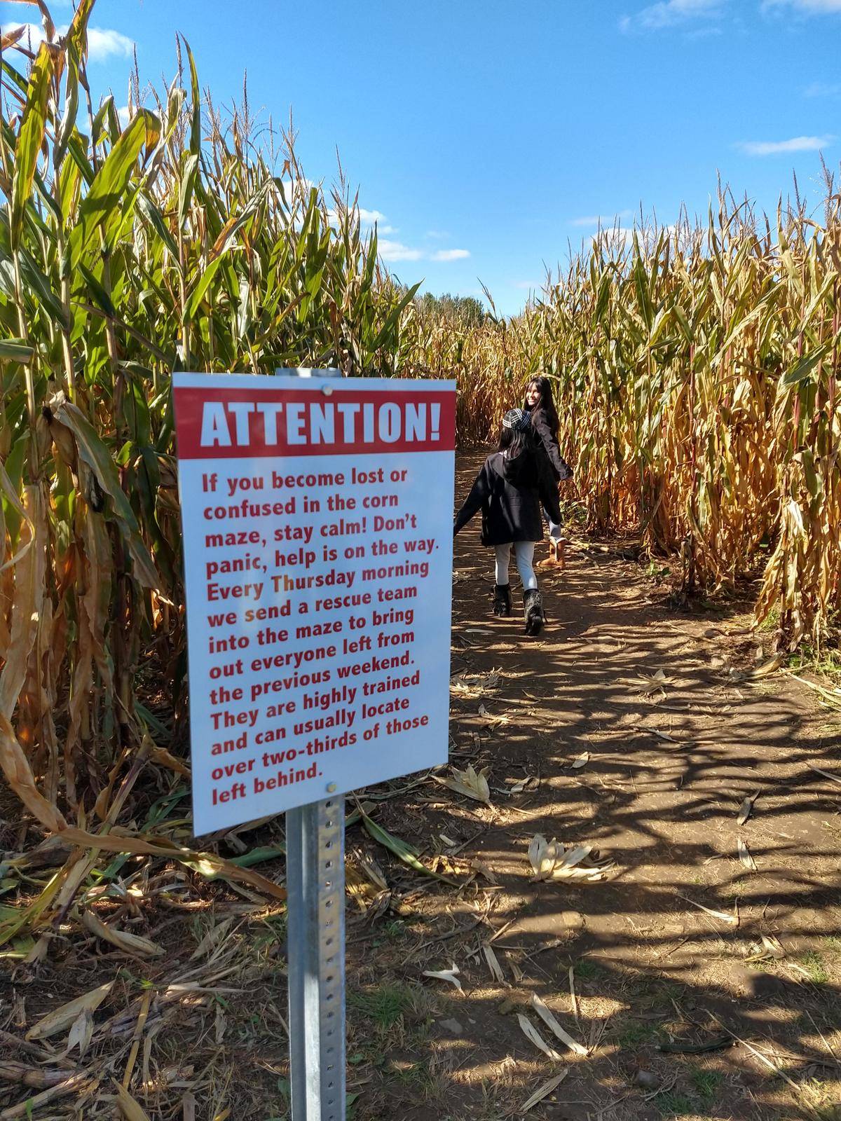 Corn maze sign saying a rescue team searches the maze on Thursdays