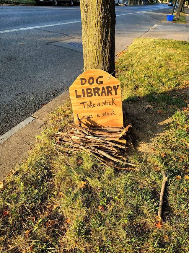 Pile of dog's sticks with Dog Library sign to take one