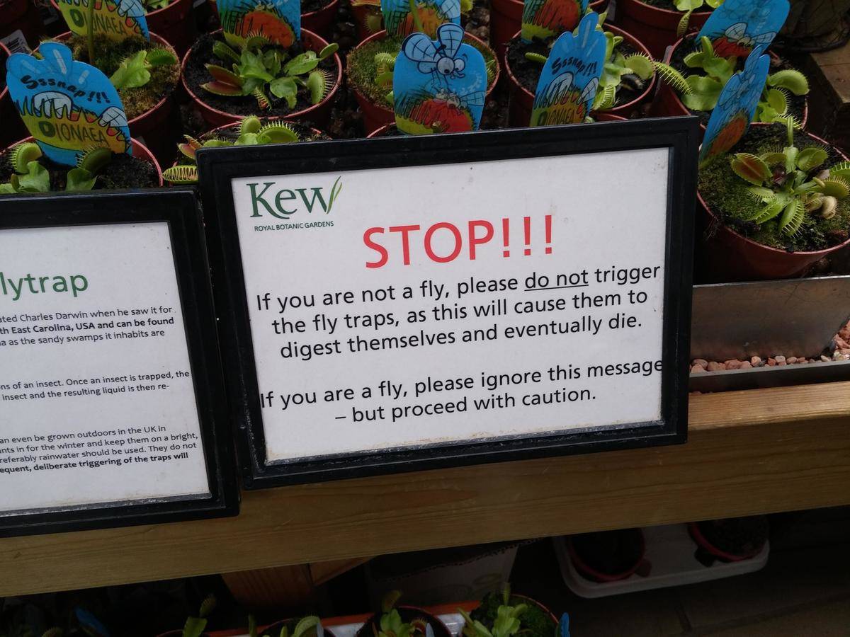 Sign about Venus fly traps in greenhouse store