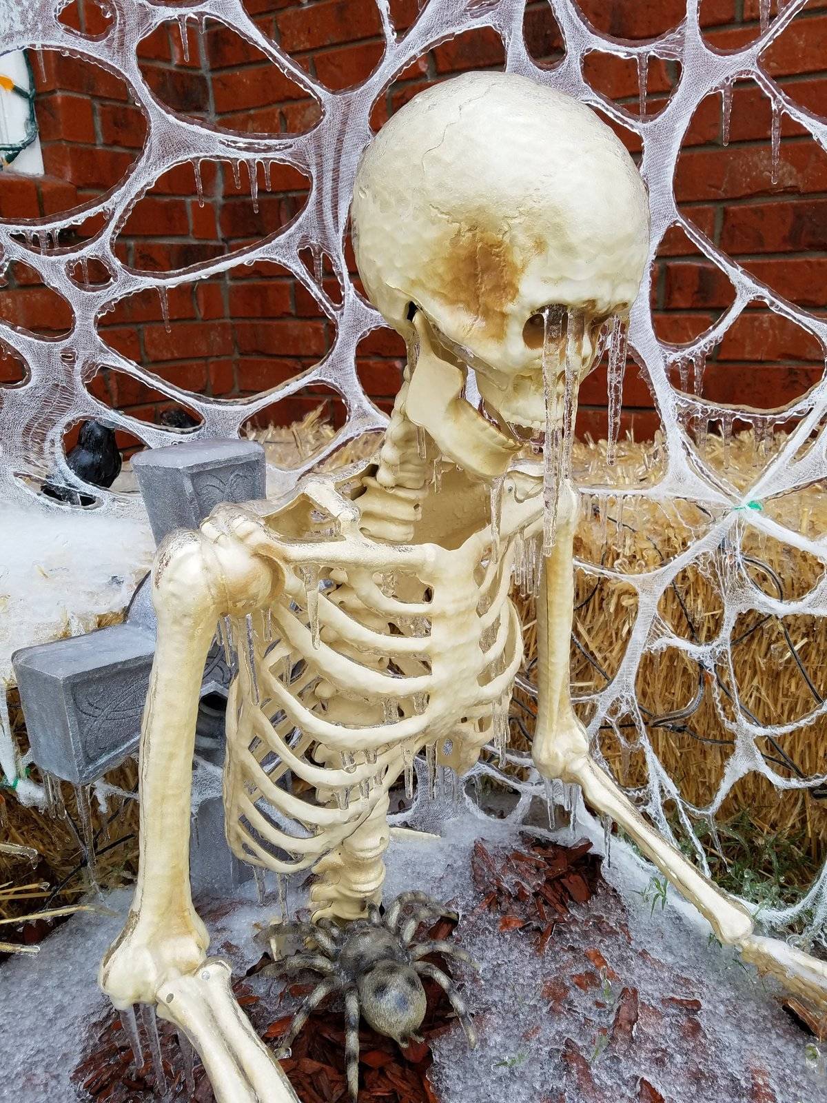 Frozen decorative skeleton and spiderwebs