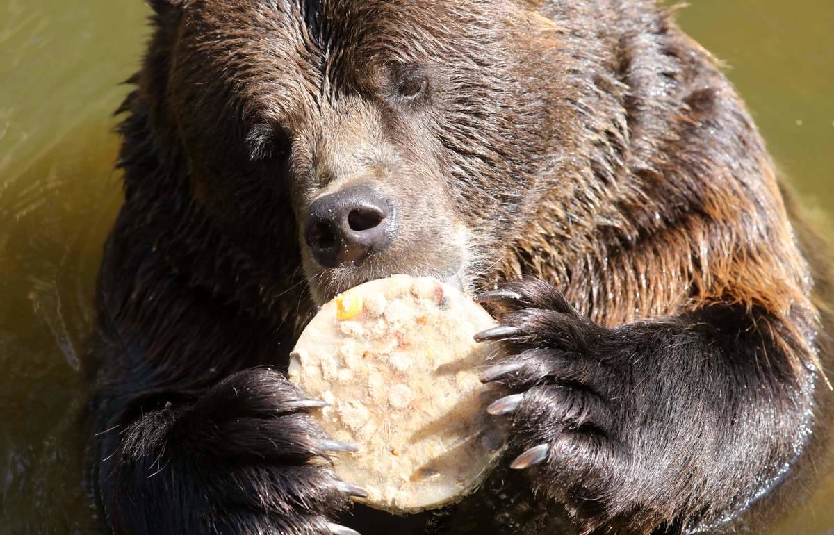 GettyImages-1012630122