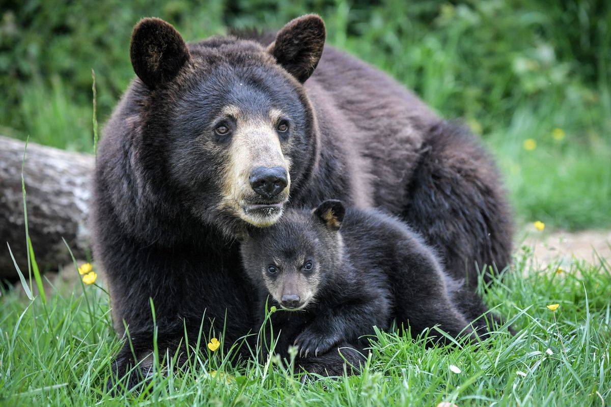 GettyImages-1140922408